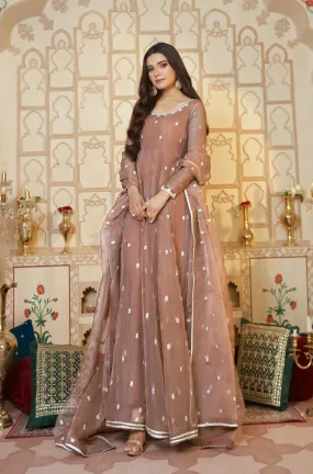 Brown Embroidered Organza Frock (Brown Girl)