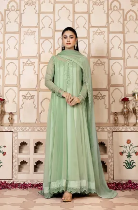 Pistachio Embellished Chiffon Frock (Ayzel)