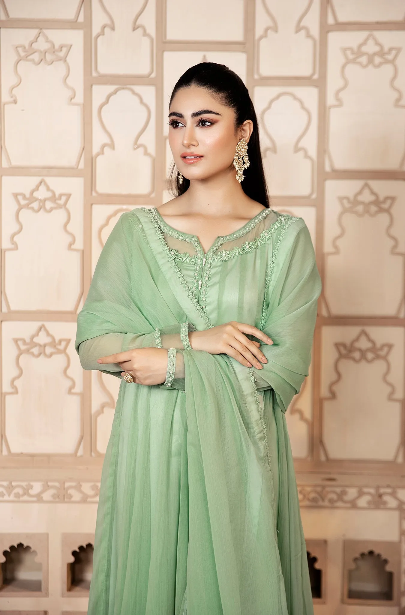 Pistachio Embellished Chiffon Frock (Ayzel)