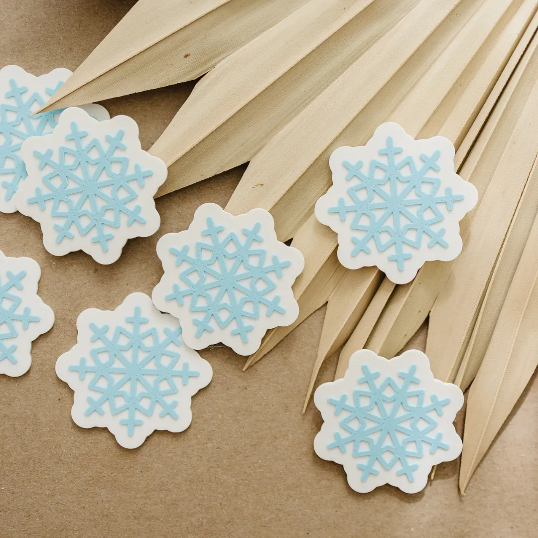 Snowflake Math Counters (15)