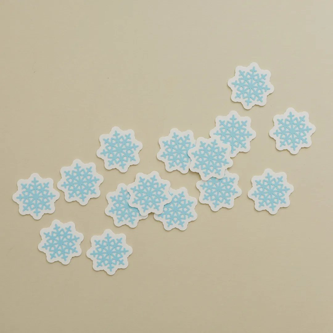 Snowflake Math Counters (15)